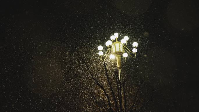 夜晚大雪飘飘的路灯