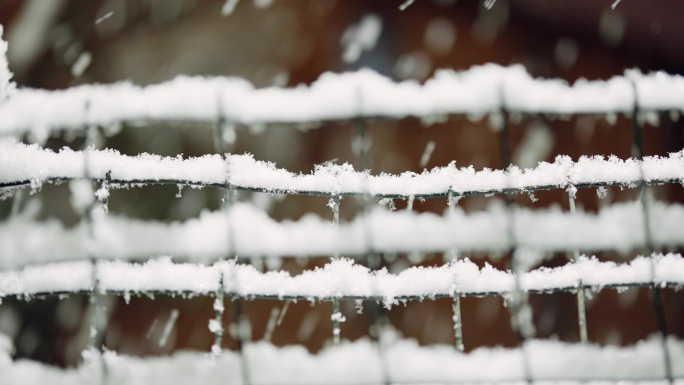 鹅毛大雪