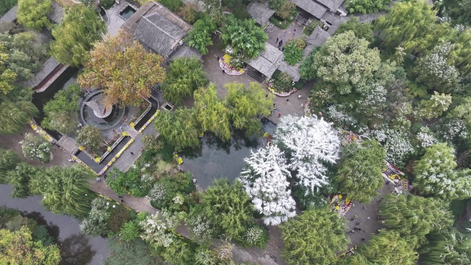 航拍济南趵突泉公园雪景