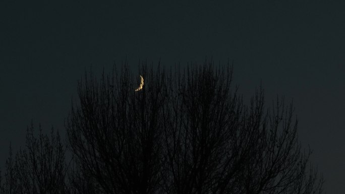 天空中的一轮明月