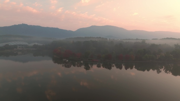 南京中山植物园前湖秋景