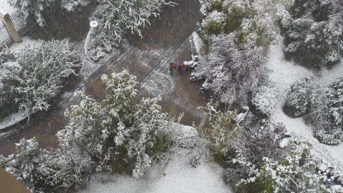 陕西 西安 2023年11月 第一场雪