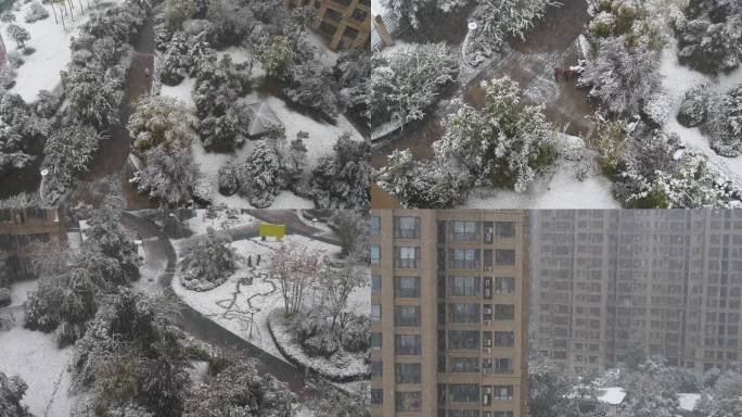 陕西 西安 2023年11月 第一场雪