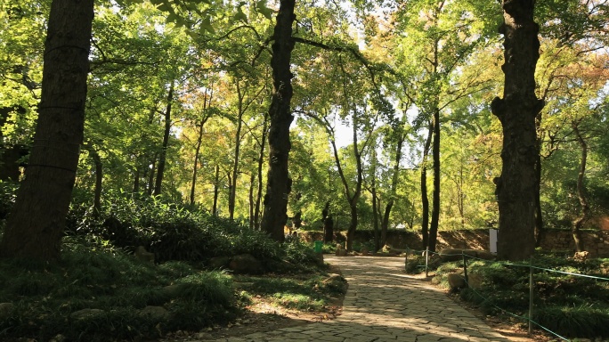 苏州天平山风光