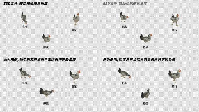 AE自由调整动物模型系列_《母鸡》