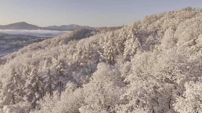 冰天雪地东北雾凇雪山