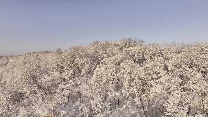 冰天雪地东北雾凇雪山