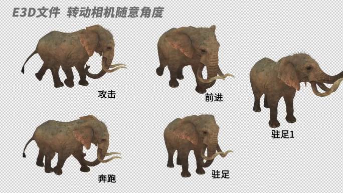 AE自由调整动物模型系列_《大象》
