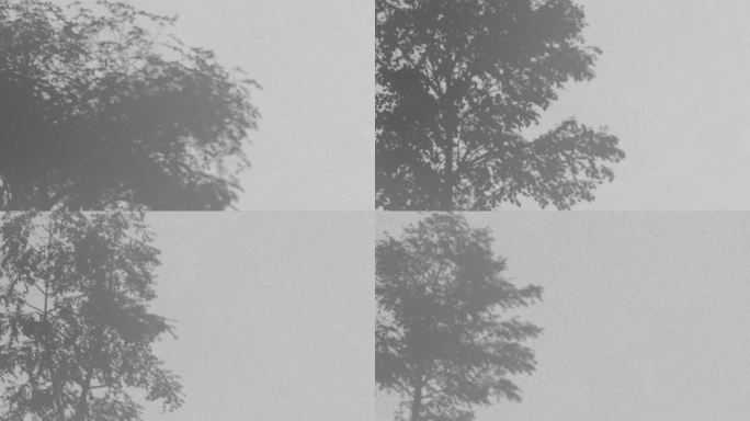 4组树影写意白墙树影4K