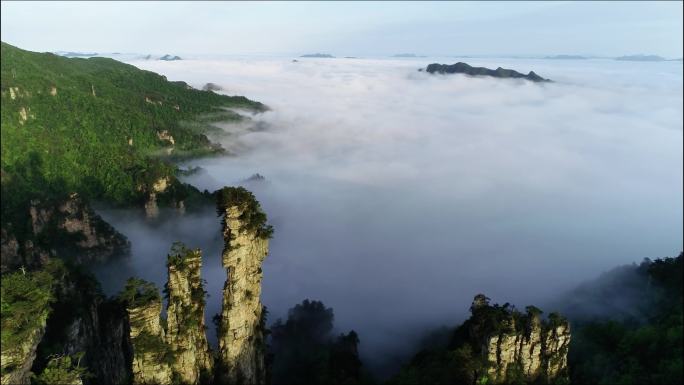 云海 张家界 森林公园