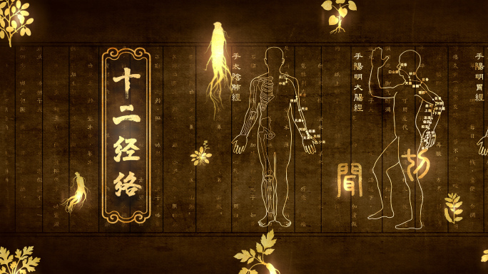 传统中医针灸十二经络经脉穴位线描视频素材