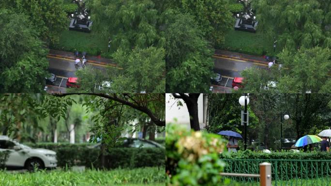 小区雨景 雨中树叶 撑伞