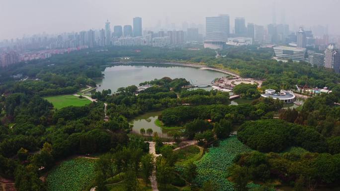 上海湿地，世纪公园，航拍