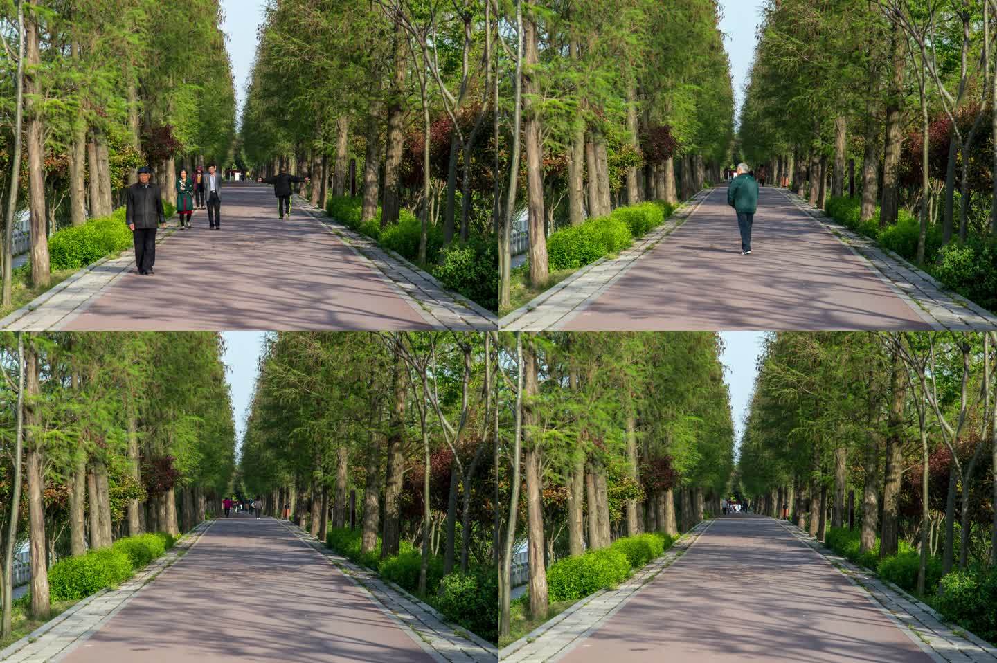 荆州古城北门外的绿道延时摄影