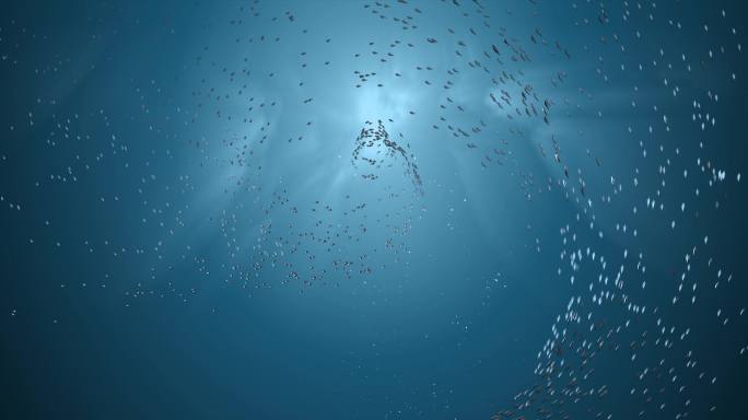 鱼群环绕海底世界背景