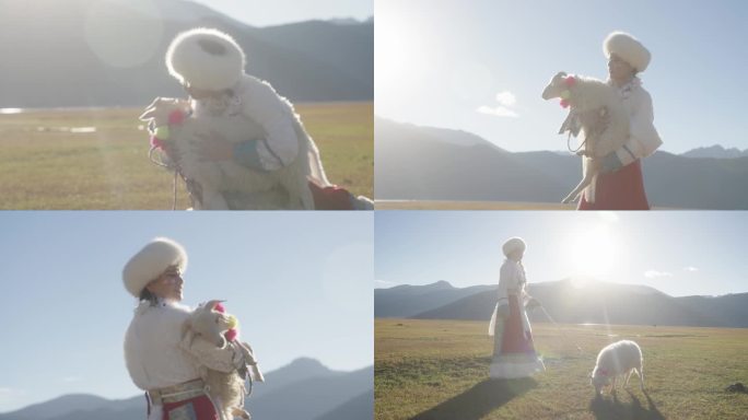 藏族女子和小绵羊