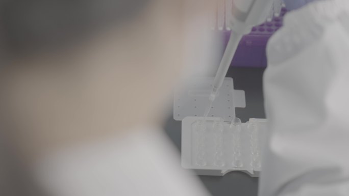 实验室PCR