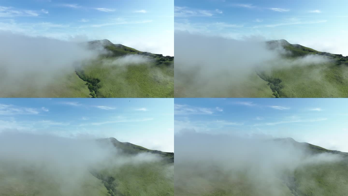 大兴安岭高山山野云海 云雾