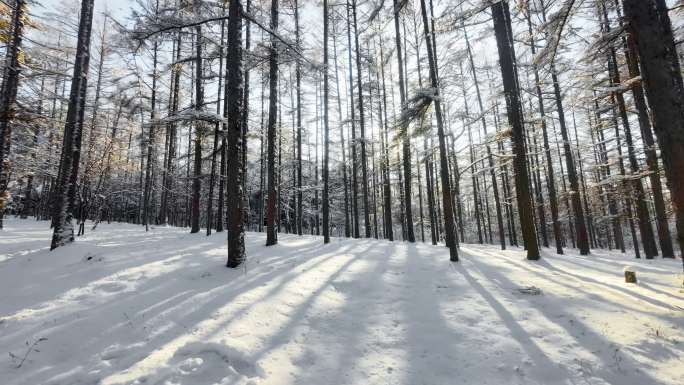 森林雪原4k延时素材