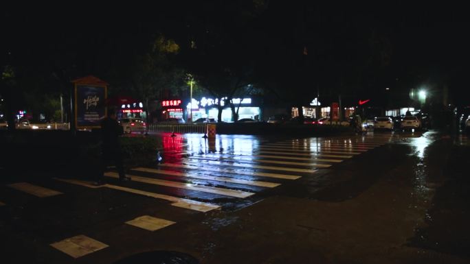 雨天夜晚斑马线车辆行人来往