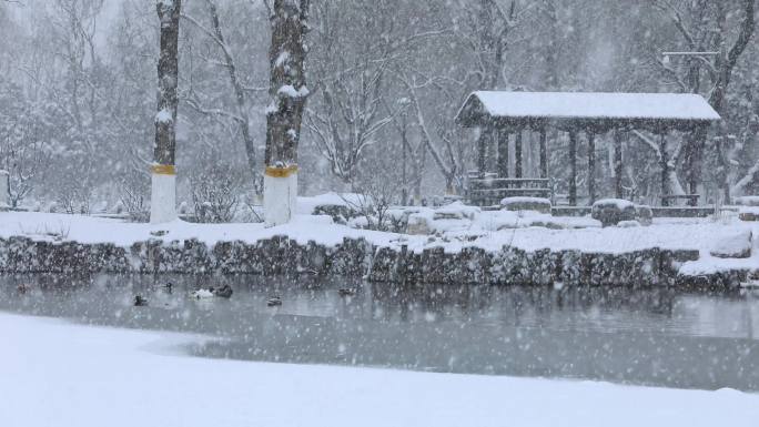 湖畔下雪慢动作唯美空镜素材
