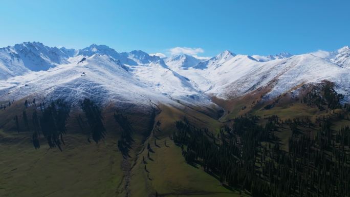 航拍新疆伊犁那拉提空中草原的雪山草地森林