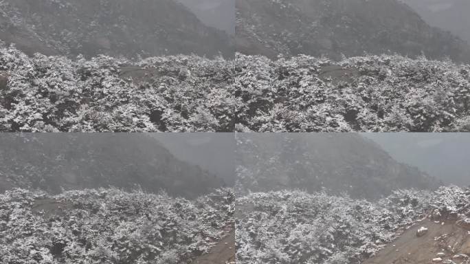 航拍山东省文登区昆嵛山楚岘村山野松林风雪