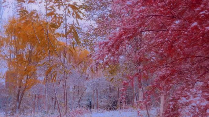 街道雪景人文素材