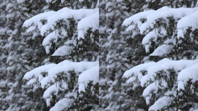 下雪慢动作唯美空镜素材