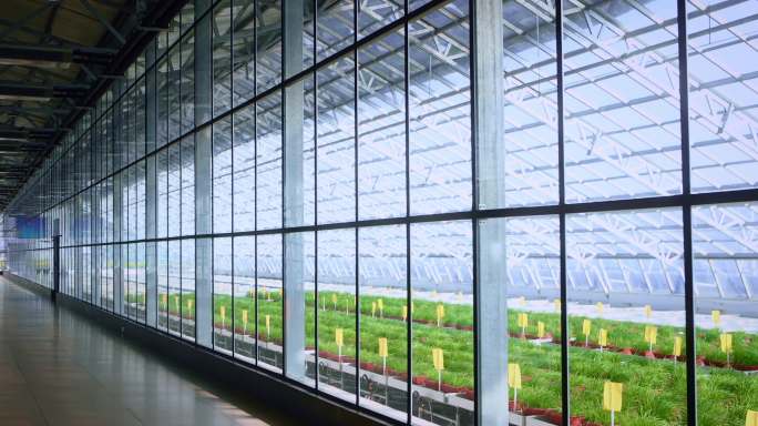 现代化智能蔬菜温室智能大棚现代农业
