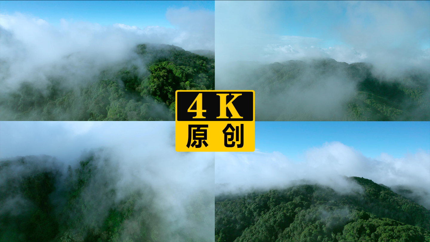 航拍原始森林云雾缭绕延时摄影