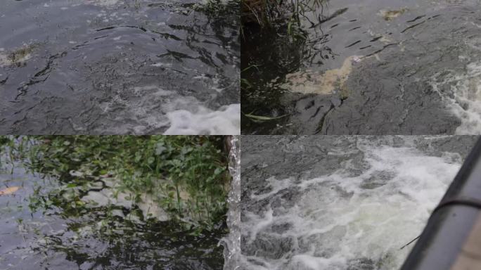 河道污染水污染