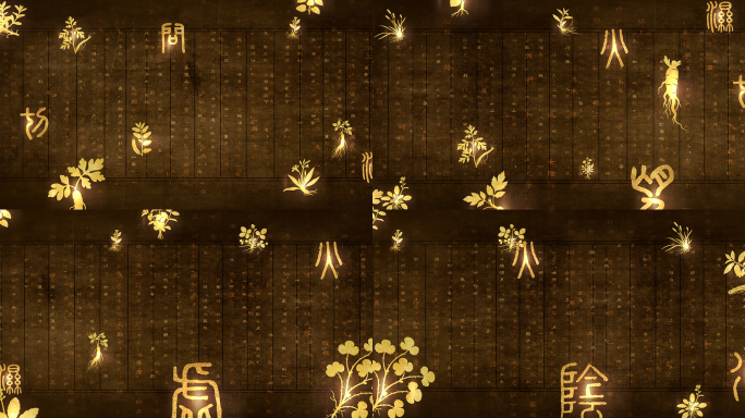 中国风中医药药材草药背景视频素材