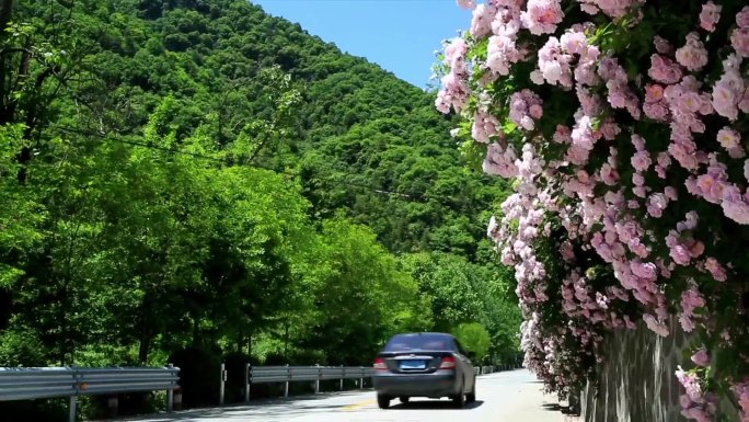 植树造林工程绿化成绩位列全国第一绿水青山