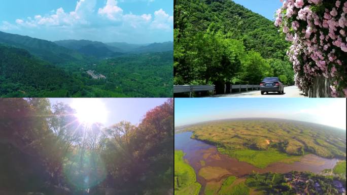 植树造林工程绿化成绩位列全国第一绿水青山