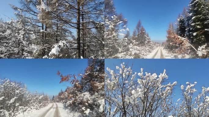 东北大山树林雪景