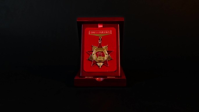 全国三八红旗手标兵奖章