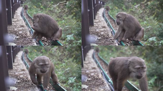 溪流 河流小溪 溪水小河武夷山漂泊