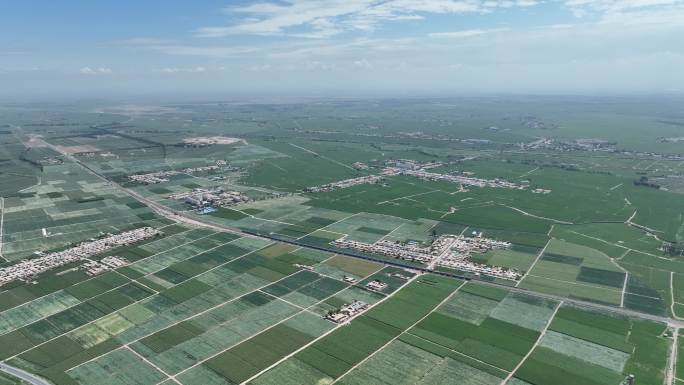 玉米制种基地 甘肃张掖 河西走廊农田