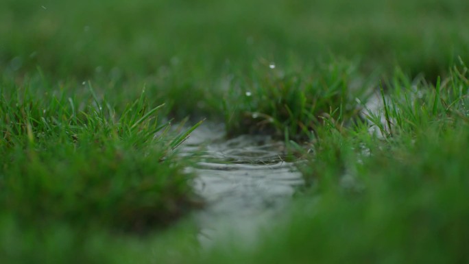 雨后 水滴 下雨 草地 水洼 水坑