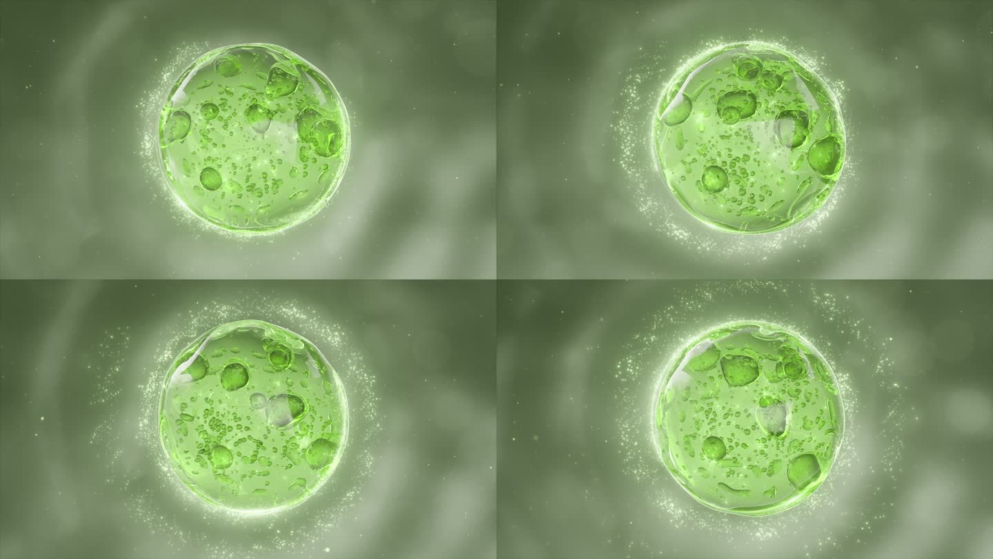 渗透激活多核细胞 绿色生物精华因子化妆品