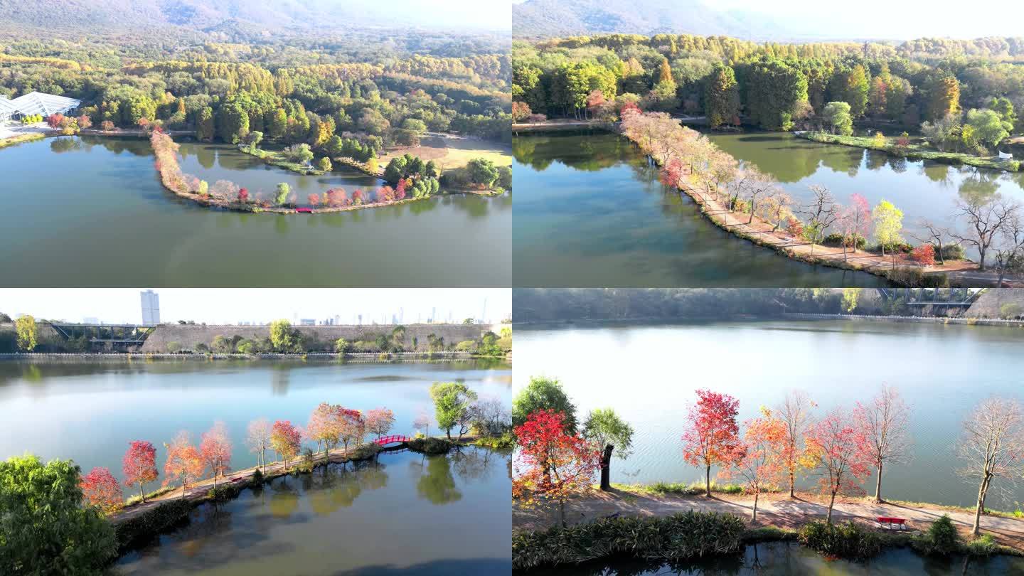 南京中山陵前湖月牙堤秋景