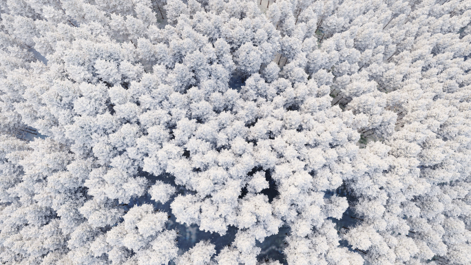 冬天雪山下雪冬景雪山雪山大雪雪山森林小雪