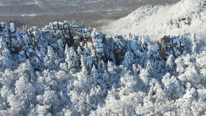 雪后石林