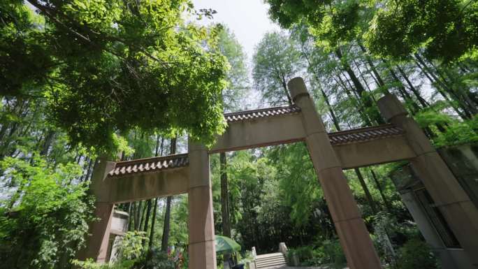 中国科学院武汉植物园里各种花草植物空镜4
