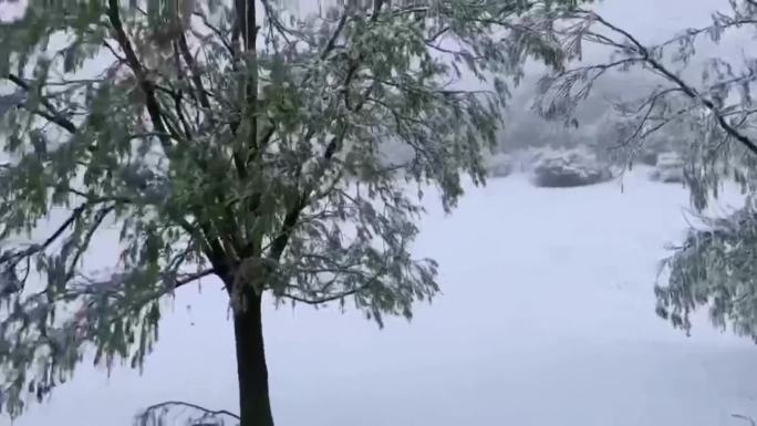 秦岭山区雪景航拍