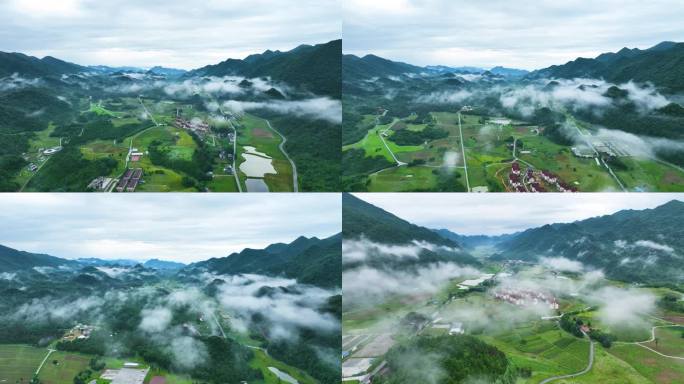 重庆巫溪山顶的一处美景，红池坝4k原画质