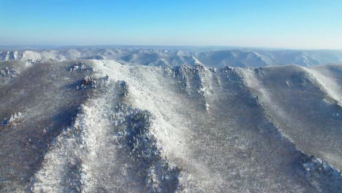 雪后石林