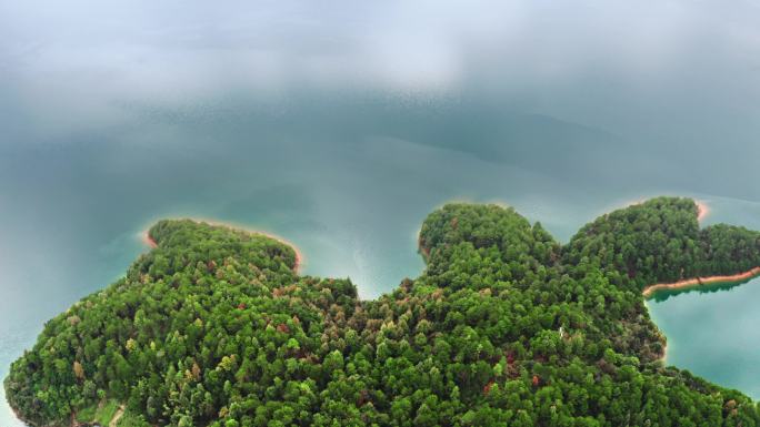 资兴东江湖白廊小岛湖面岛屿