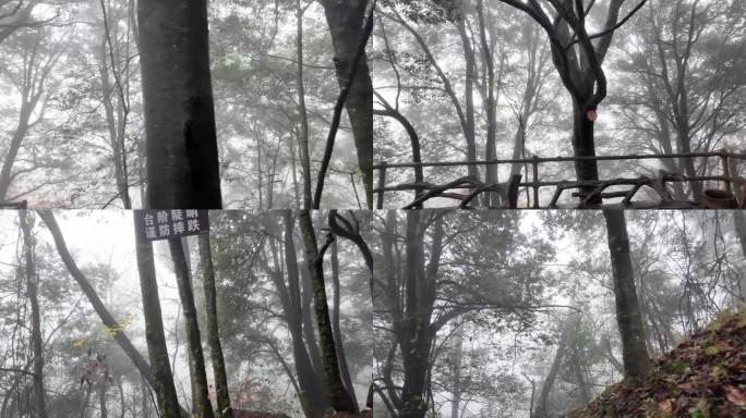 安徽大别山秋季天堂寨森林瀑布雾景